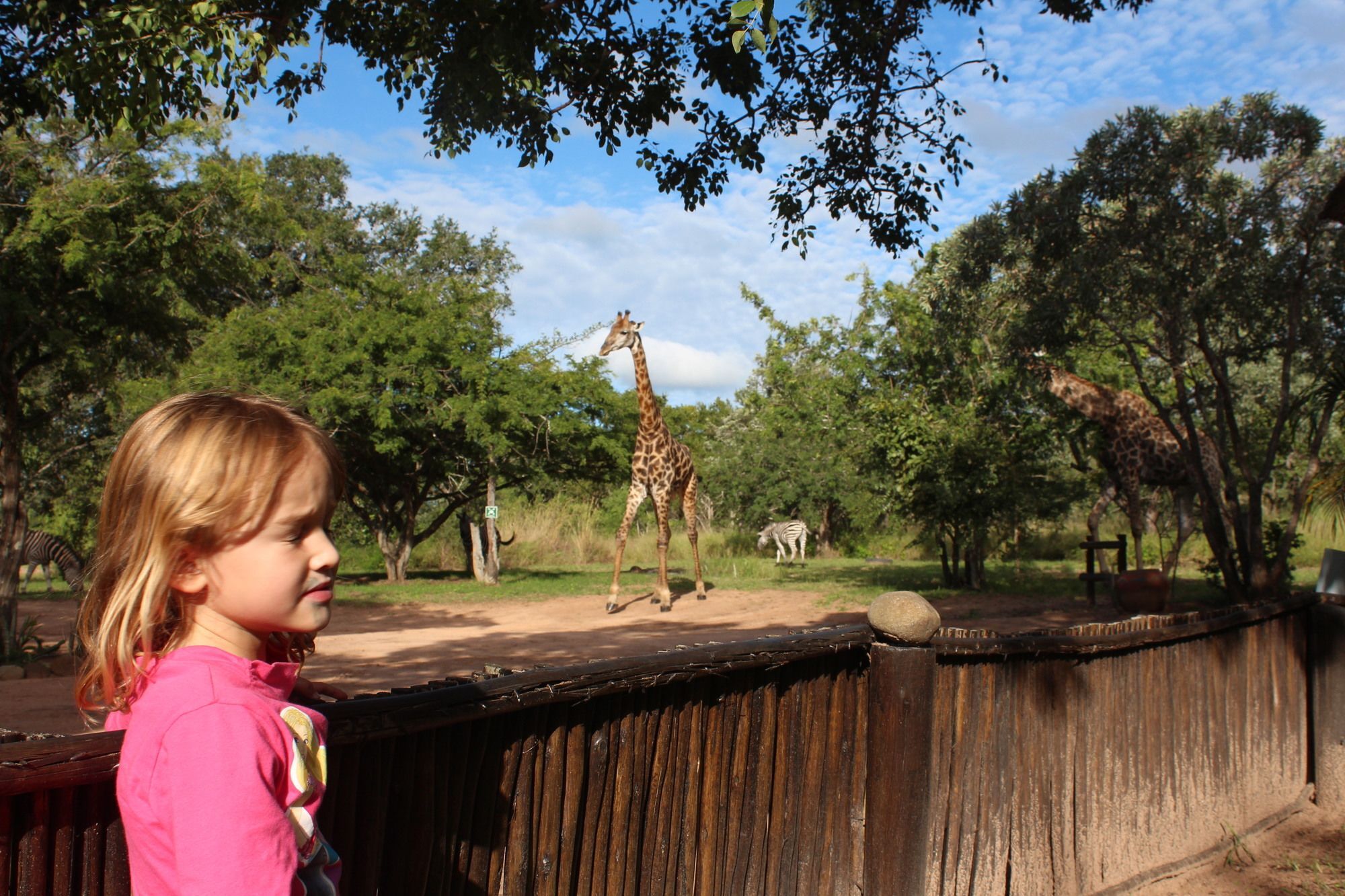 Thornhill Safari Lodge Hoedspruit Esterno foto