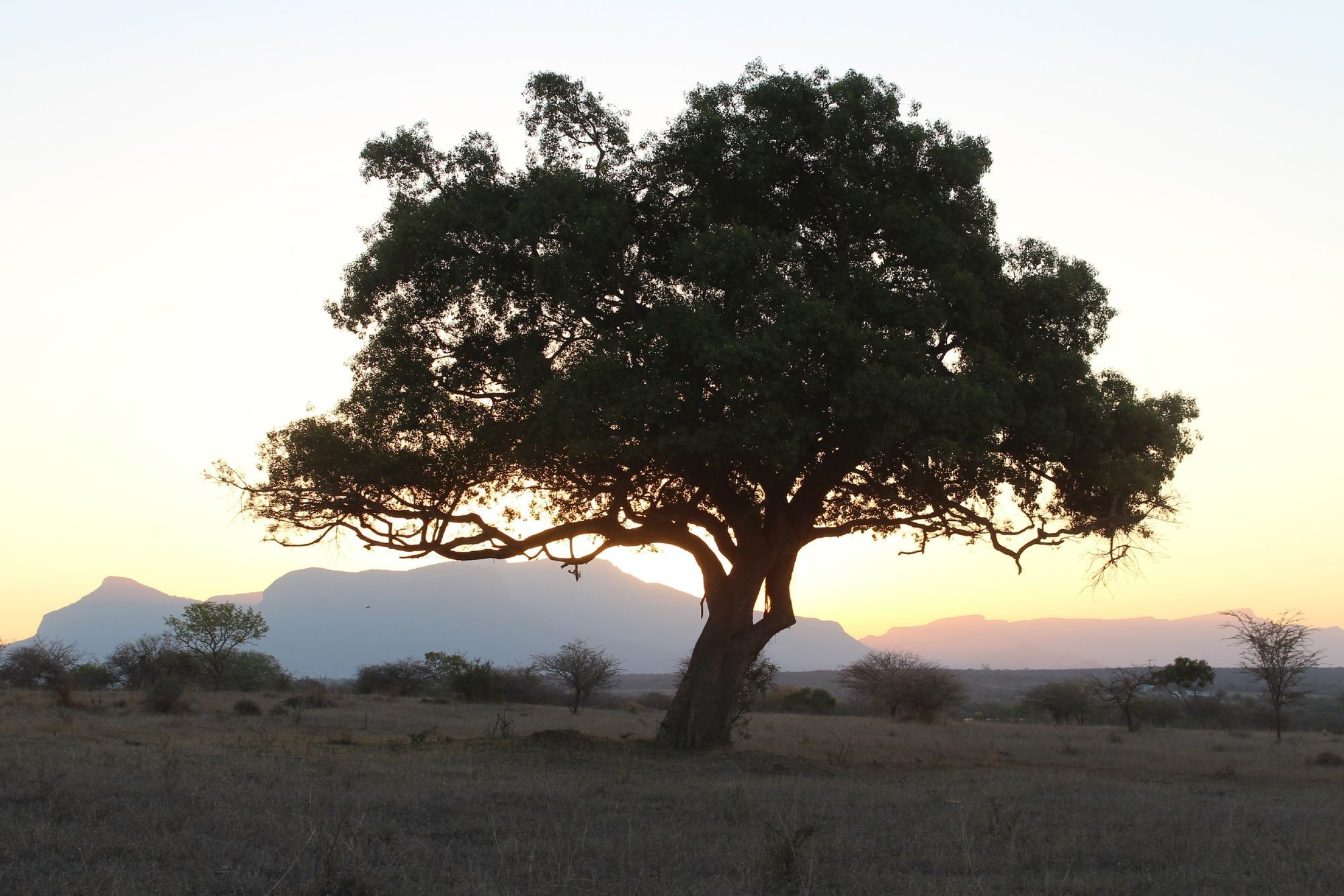 Thornhill Safari Lodge Hoedspruit Esterno foto