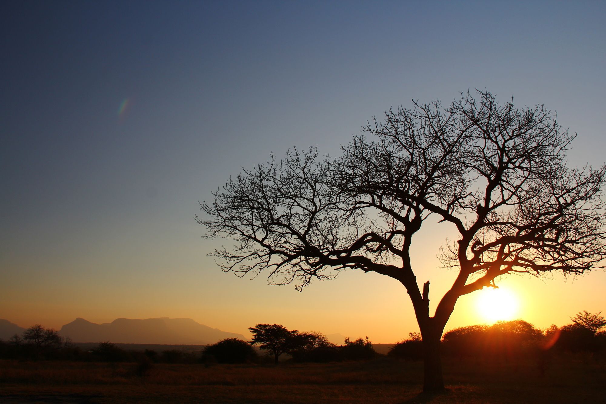 Thornhill Safari Lodge Hoedspruit Esterno foto