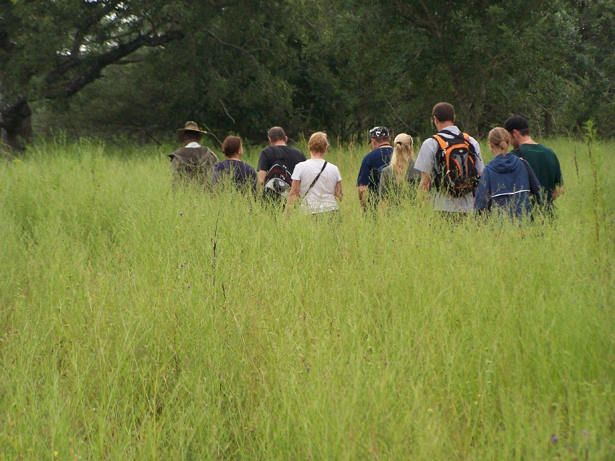 Thornhill Safari Lodge Hoedspruit Esterno foto